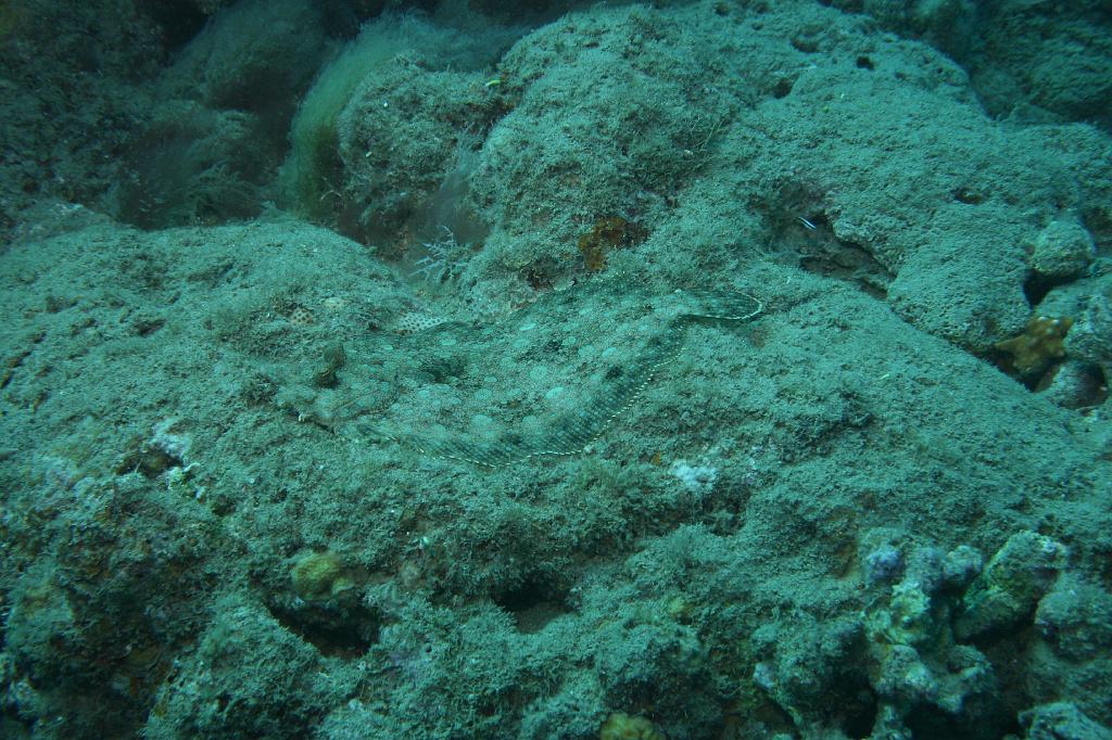 2008-05-17 15-39-59 H.JPG